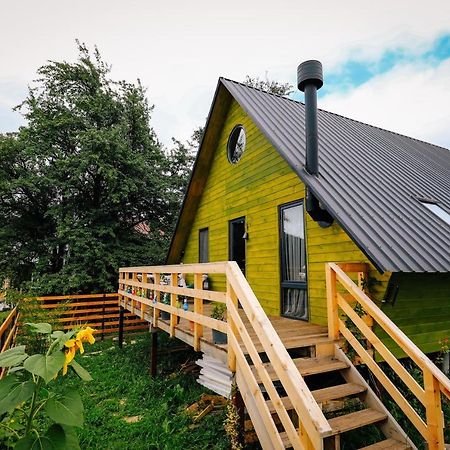 Wooden Cottage "Green House" In باكورياني المظهر الخارجي الصورة