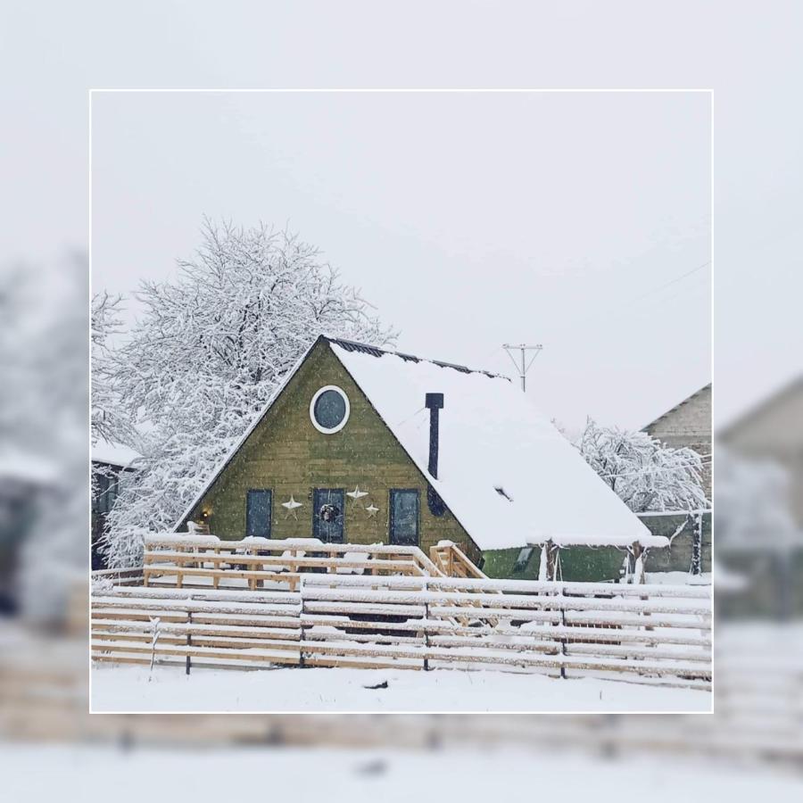 Wooden Cottage "Green House" In باكورياني المظهر الخارجي الصورة